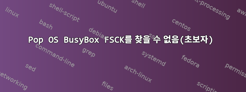 Pop OS BusyBox FSCK를 찾을 수 없음(초보자)