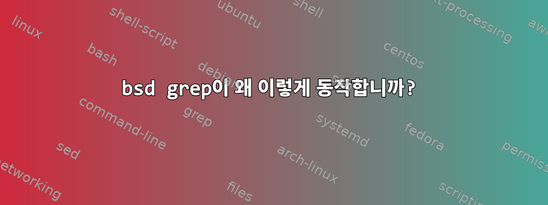 bsd grep이 왜 이렇게 동작합니까?