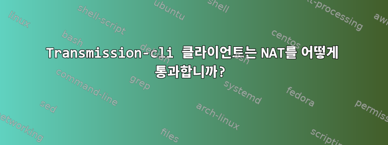 Transmission-cli 클라이언트는 NAT를 어떻게 통과합니까?