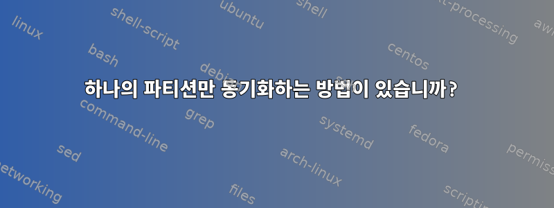 하나의 파티션만 동기화하는 방법이 있습니까?