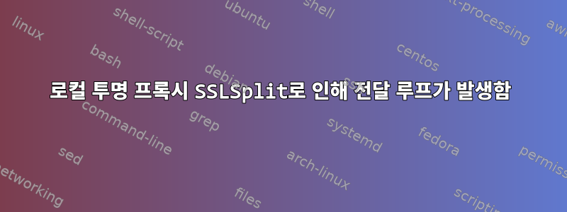 로컬 투명 프록시 SSLSplit로 인해 전달 루프가 발생함