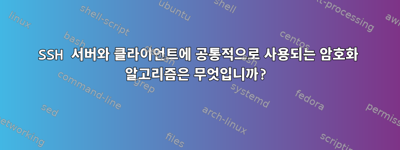 SSH 서버와 클라이언트에 공통적으로 사용되는 암호화 알고리즘은 무엇입니까?