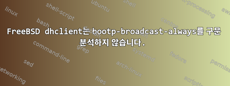 FreeBSD dhclient는 bootp-broadcast-always를 구문 분석하지 않습니다.