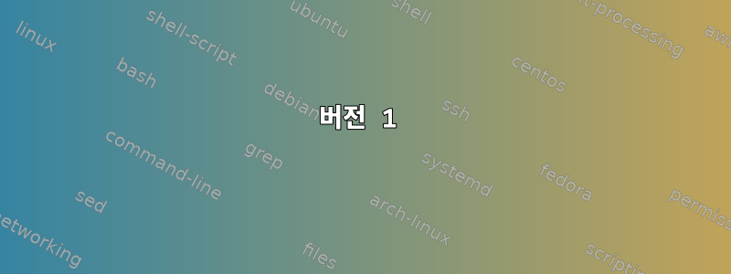 버전 1