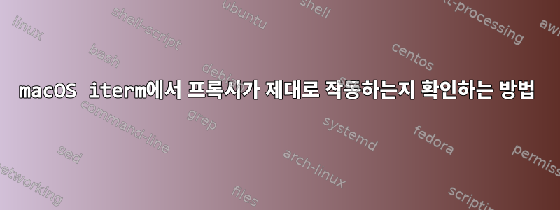 macOS iterm에서 프록시가 제대로 작동하는지 확인하는 방법