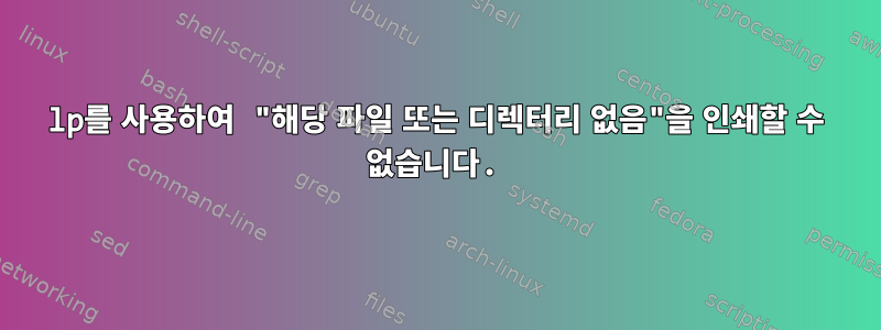 lp를 사용하여 "해당 파일 또는 디렉터리 없음"을 인쇄할 수 없습니다.