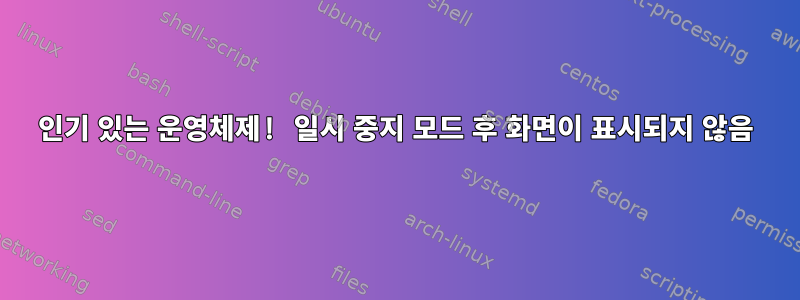 인기 있는 운영체제! 일시 중지 모드 후 화면이 표시되지 않음