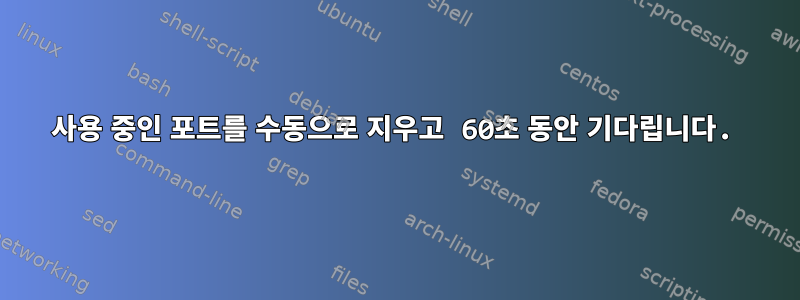 사용 중인 포트를 수동으로 지우고 60초 동안 기다립니다.