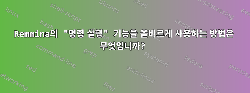 Remmina의 "명령 실행" 기능을 올바르게 사용하는 방법은 무엇입니까?