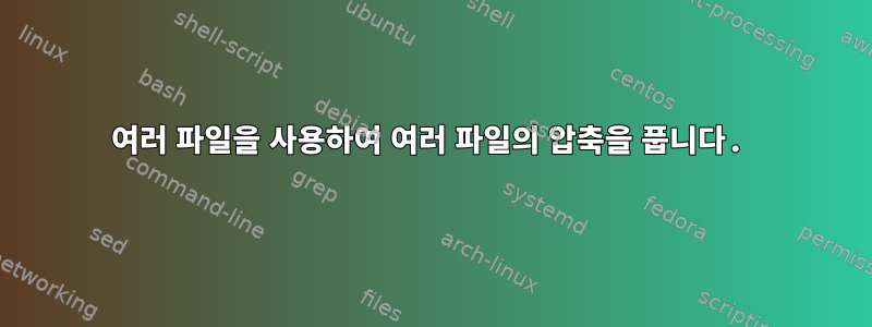 여러 파일을 사용하여 여러 파일의 압축을 풉니다.