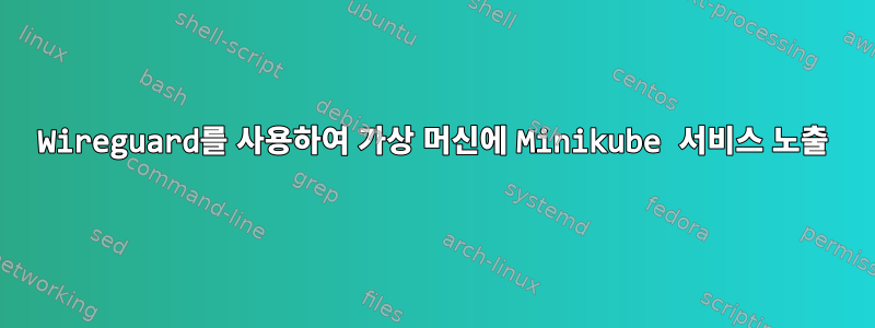 Wireguard를 사용하여 가상 머신에 Minikube 서비스 노출