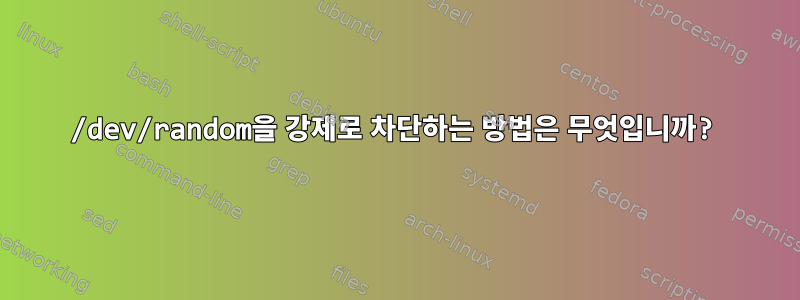 /dev/random을 강제로 차단하는 방법은 무엇입니까?