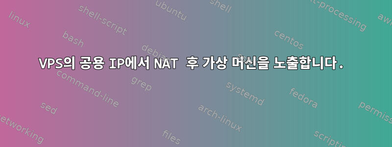 VPS의 공용 IP에서 NAT 후 가상 머신을 노출합니다.