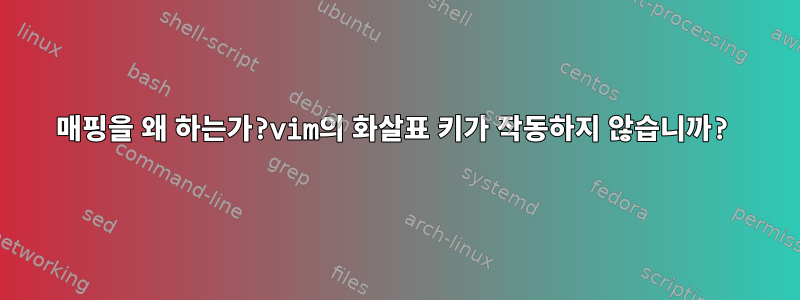 매핑을 왜 하는가?vim의 화살표 키가 작동하지 않습니까?