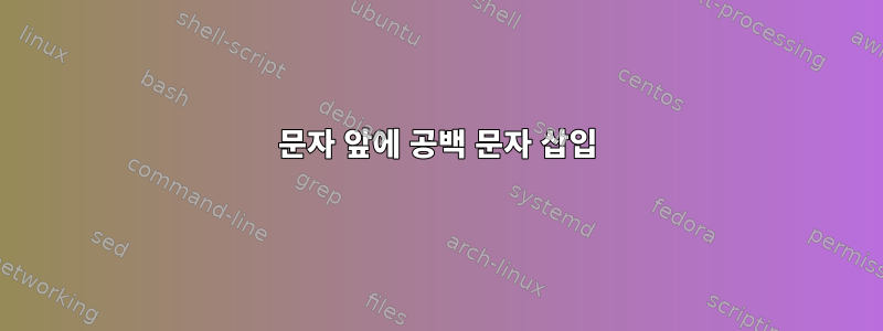 문자 앞에 공백 문자 삽입