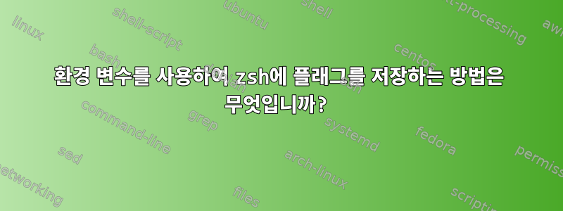 환경 변수를 사용하여 zsh에 플래그를 저장하는 방법은 무엇입니까?