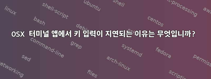 OSX 터미널 앱에서 키 입력이 지연되는 이유는 무엇입니까?