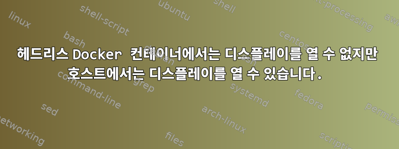 헤드리스 Docker 컨테이너에서는 디스플레이를 열 수 없지만 호스트에서는 디스플레이를 열 수 있습니다.