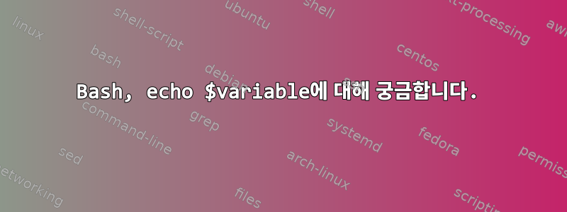 Bash, echo $variable에 대해 궁금합니다.