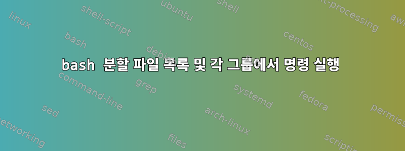 bash 분할 파일 목록 및 각 그룹에서 명령 실행