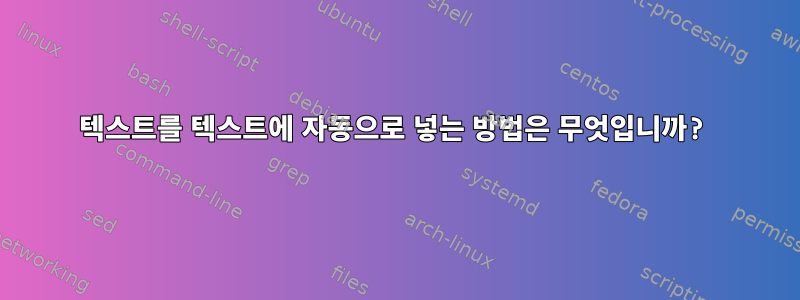 텍스트를 텍스트에 자동으로 넣는 방법은 무엇입니까?