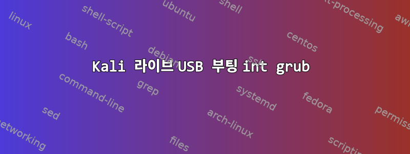 Kali 라이브 USB 부팅 int grub