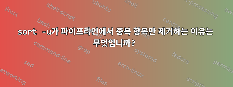 sort -u가 파이프라인에서 중복 항목만 제거하는 이유는 무엇입니까?