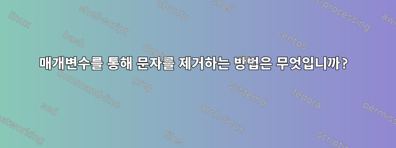 매개변수를 통해 문자를 제거하는 방법은 무엇입니까?