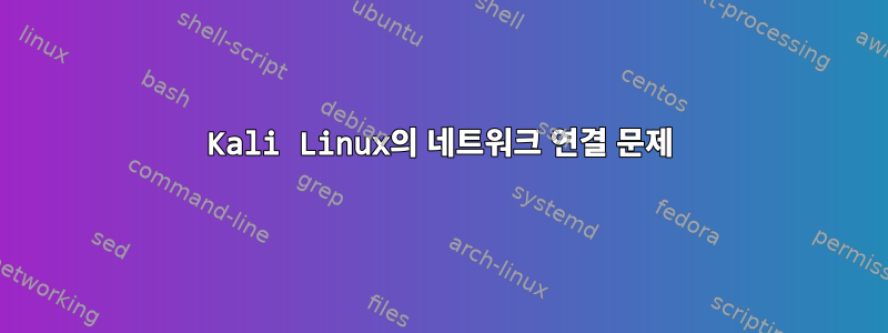 Kali Linux의 네트워크 연결 문제