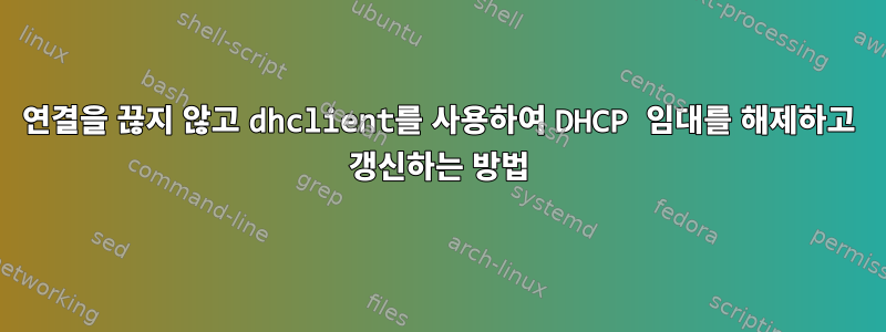 연결을 끊지 않고 dhclient를 사용하여 DHCP 임대를 해제하고 갱신하는 방법