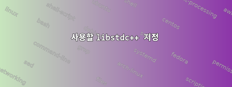 사용할 libstdc++ 지정