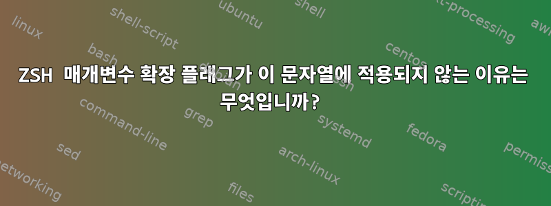 ZSH 매개변수 확장 플래그가 이 문자열에 적용되지 않는 이유는 무엇입니까?