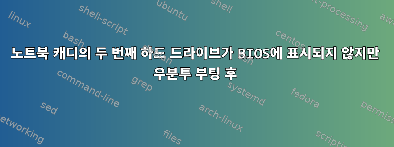 노트북 캐디의 두 번째 하드 드라이브가 BIOS에 표시되지 않지만 우분투 부팅 후