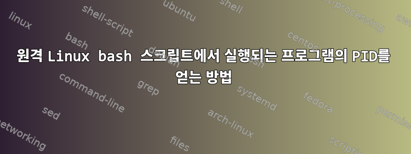 원격 Linux bash 스크립트에서 실행되는 프로그램의 PID를 얻는 방법