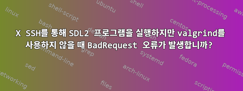 X SSH를 통해 SDL2 프로그램을 실행하지만 valgrind를 사용하지 않을 때 BadRequest 오류가 발생합니까?