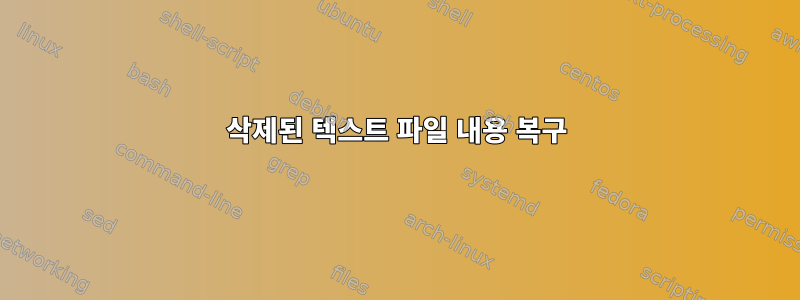 삭제된 텍스트 파일 내용 복구