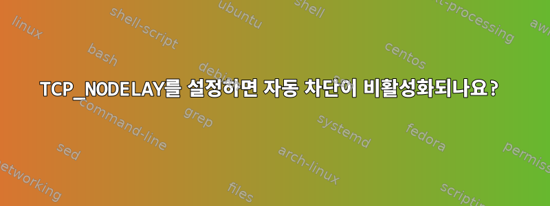 TCP_NODELAY를 설정하면 자동 차단이 비활성화되나요?