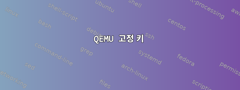 QEMU 고정 키