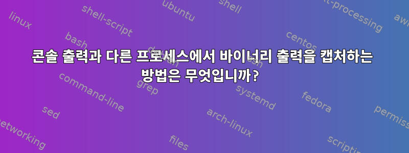 콘솔 출력과 다른 프로세스에서 바이너리 출력을 캡처하는 방법은 무엇입니까?