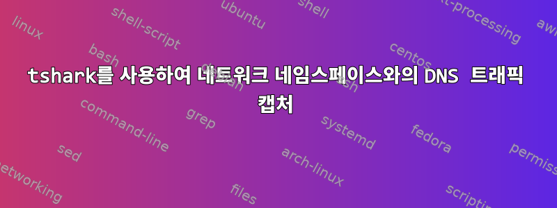 tshark를 사용하여 네트워크 네임스페이스와의 DNS 트래픽 캡처