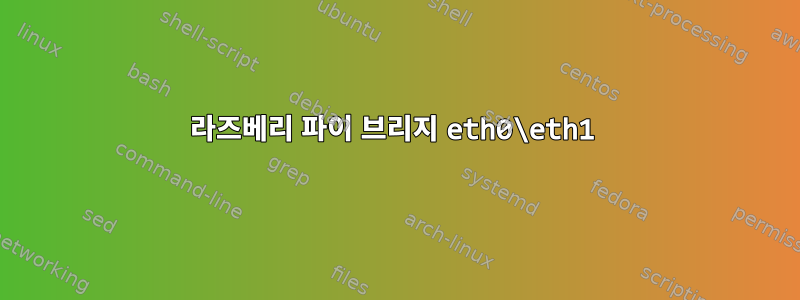 라즈베리 파이 브리지 eth0\eth1