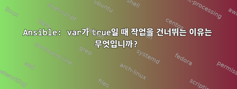 Ansible: var가 true일 때 작업을 건너뛰는 이유는 무엇입니까?