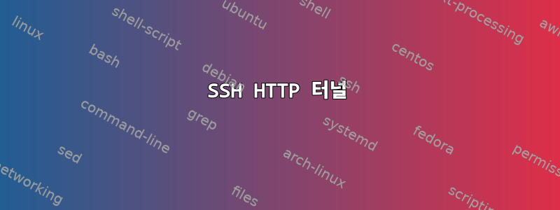 SSH HTTP 터널