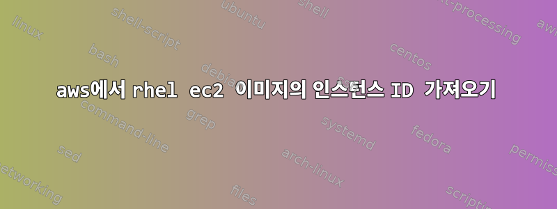 aws에서 rhel ec2 이미지의 인스턴스 ID 가져오기