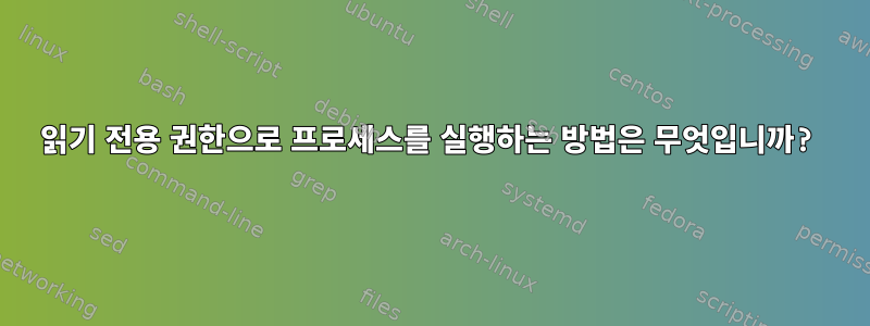 읽기 전용 권한으로 프로세스를 실행하는 방법은 무엇입니까?