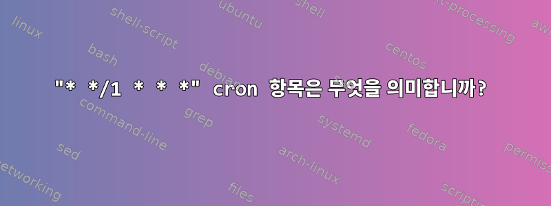 "* */1 * * *" cron 항목은 무엇을 의미합니까?