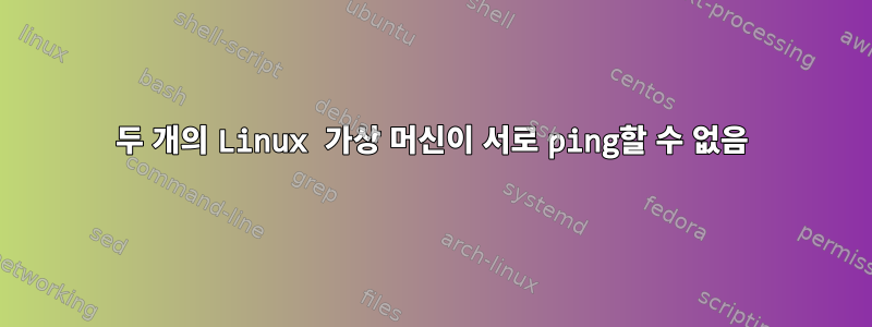 두 개의 Linux 가상 머신이 서로 ping할 수 없음