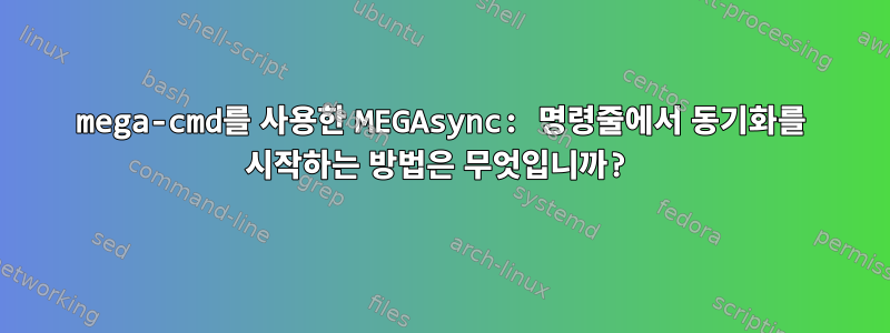 mega-cmd를 사용한 MEGAsync: 명령줄에서 동기화를 시작하는 방법은 무엇입니까?