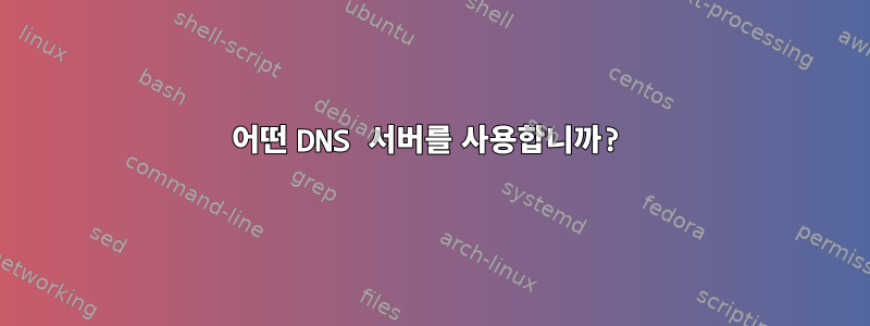 어떤 DNS 서버를 사용합니까?