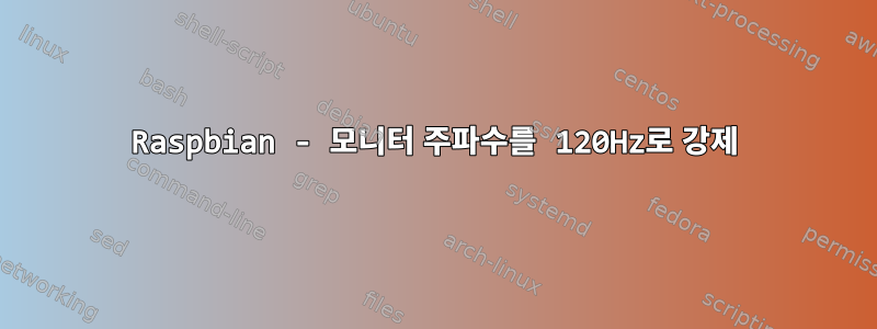 Raspbian - 모니터 주파수를 120Hz로 강제